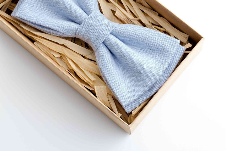 Stand Out on Your Wedding Day with an Ice Blue Modern Butterfly Bow Tie for Groomsmen